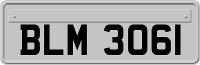 BLM3061