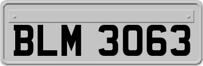 BLM3063