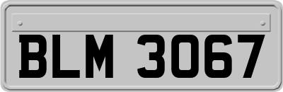 BLM3067