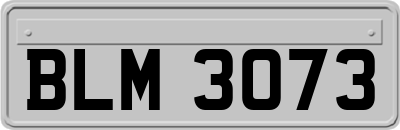 BLM3073