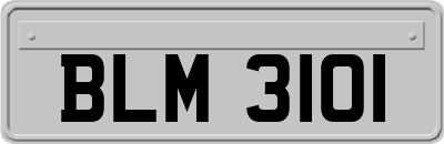 BLM3101