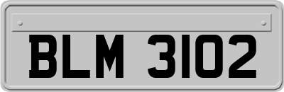 BLM3102