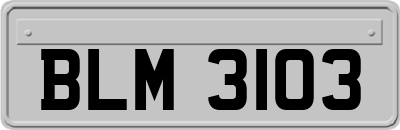 BLM3103