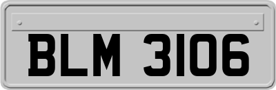 BLM3106