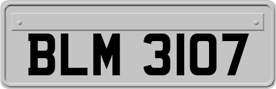 BLM3107