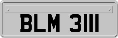BLM3111