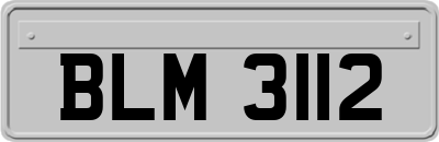 BLM3112