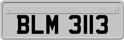 BLM3113