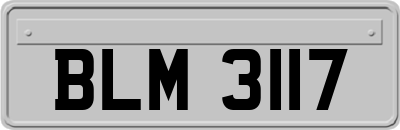 BLM3117