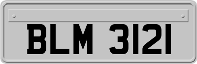 BLM3121