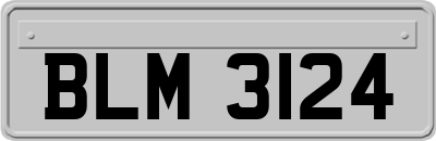 BLM3124