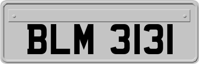 BLM3131