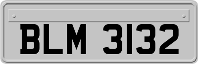 BLM3132