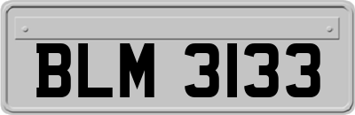 BLM3133