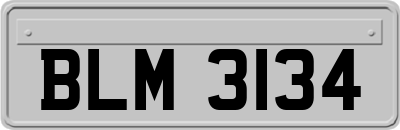 BLM3134