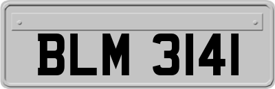 BLM3141