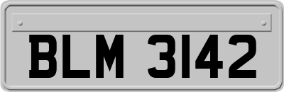 BLM3142
