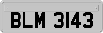BLM3143