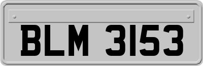 BLM3153