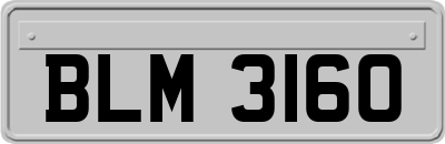 BLM3160