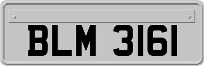 BLM3161