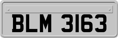 BLM3163