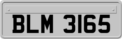 BLM3165