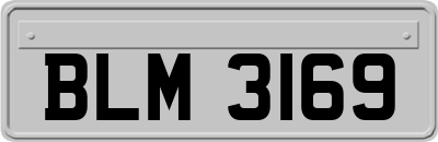 BLM3169