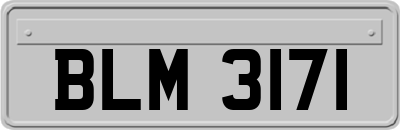 BLM3171