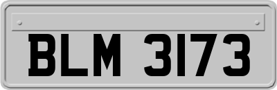 BLM3173