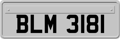 BLM3181