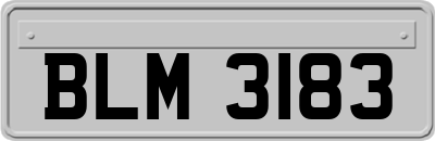 BLM3183