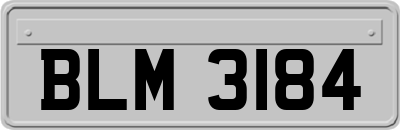 BLM3184