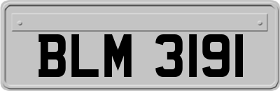 BLM3191