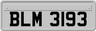BLM3193