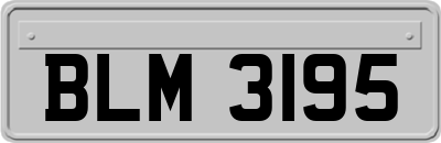 BLM3195