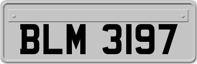 BLM3197