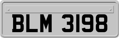 BLM3198