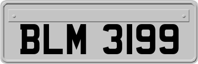 BLM3199