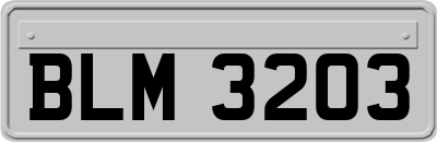 BLM3203