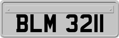 BLM3211