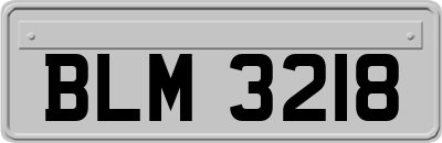 BLM3218