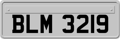 BLM3219