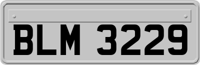 BLM3229