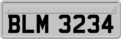 BLM3234