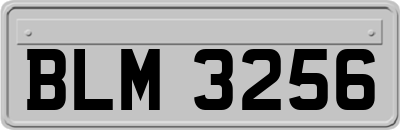 BLM3256