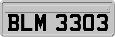 BLM3303