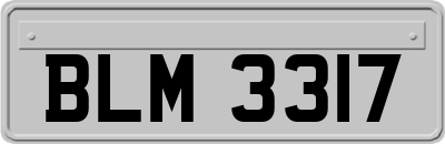 BLM3317