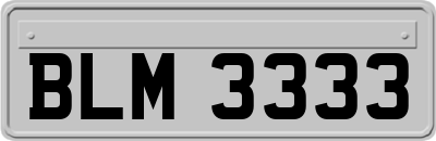 BLM3333