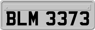 BLM3373